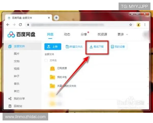 壹号下载链接下载安装流程详细说明与注意事项