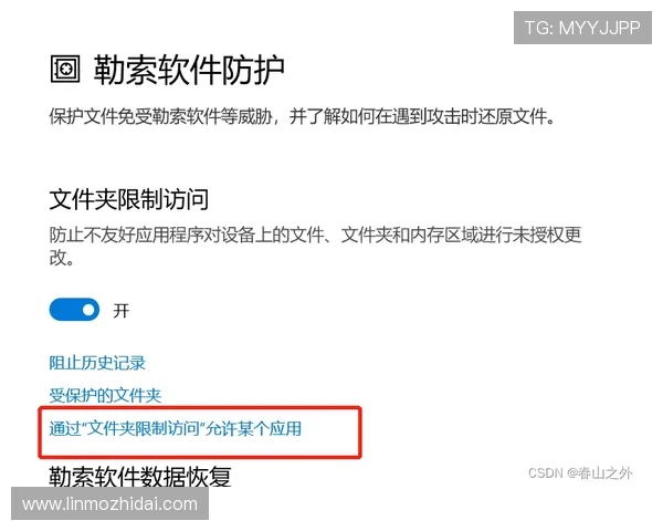 壹号下载官方链接快速访问与安全保障措施解析
